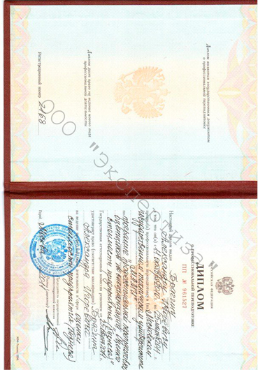 Диплом Брагин Эксперт